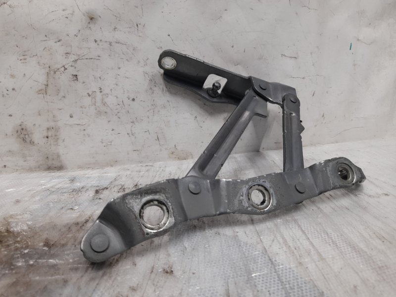 Петля крышки багажника правая INFINITI G25/G35/G37/Q40 06-14 Седан 3.5 VQ35VHR