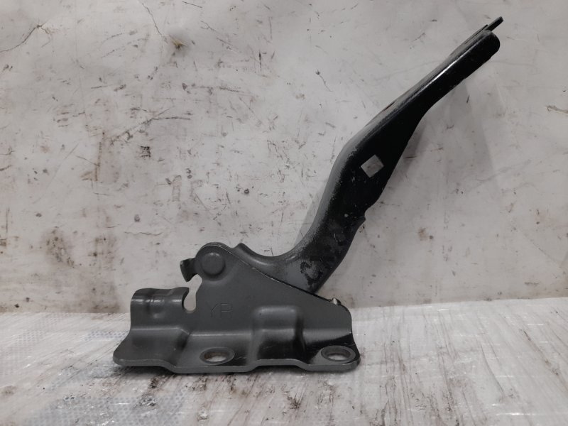 Запчасть петля капота правая MAZDA CX-5 (KE) 11-17 2015 Внедорожник 2.0 PE-VPS KD53-52-410A Б/У Петля капота правая MAZDA CX-5 (KE) 11-17 2015 Внедорожник 2.0 PE-VPS KD53-52-410A Б/У