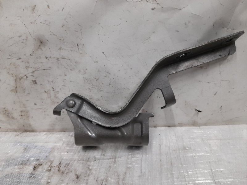 Петля капота левая NISSAN PATHFINDER R52 12-21 Внедорожник 3.5 VQ35DE Петля капота левая NISSAN PATHFINDER R52 12-21 Внедорожник 3.5 VQ35DE