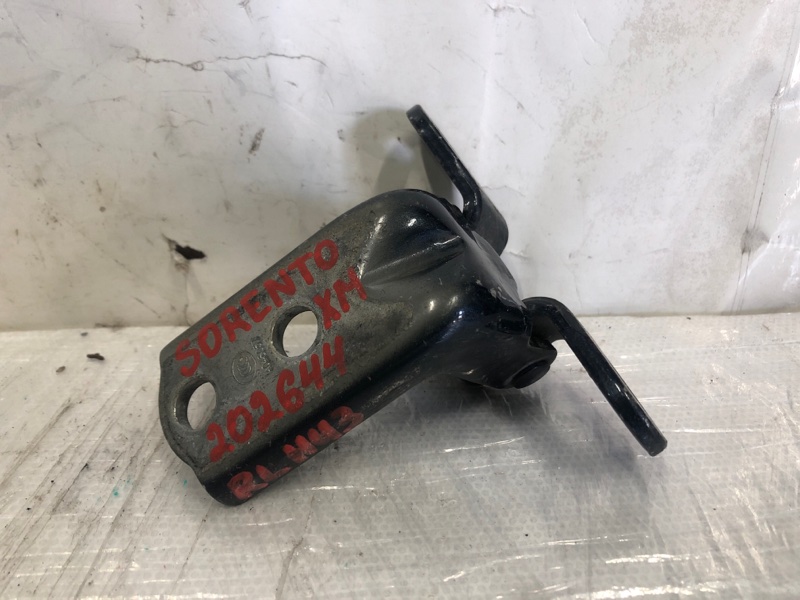Петля двери нижняя задняя левая KIA SORENTO XM 09-14 2012 Внедорожник 2.4 79350-2B020 Б/У