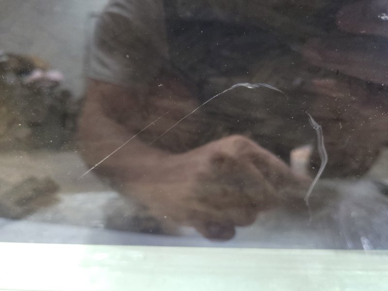 Стекло двери переднее правое SUBARU IMPREZA WRX 10-14 GH Хетчбек 2.5 EJ255 Стекло двери переднее правое SUBARU IMPREZA WRX 10-14 GH Хетчбек 2.5 EJ255