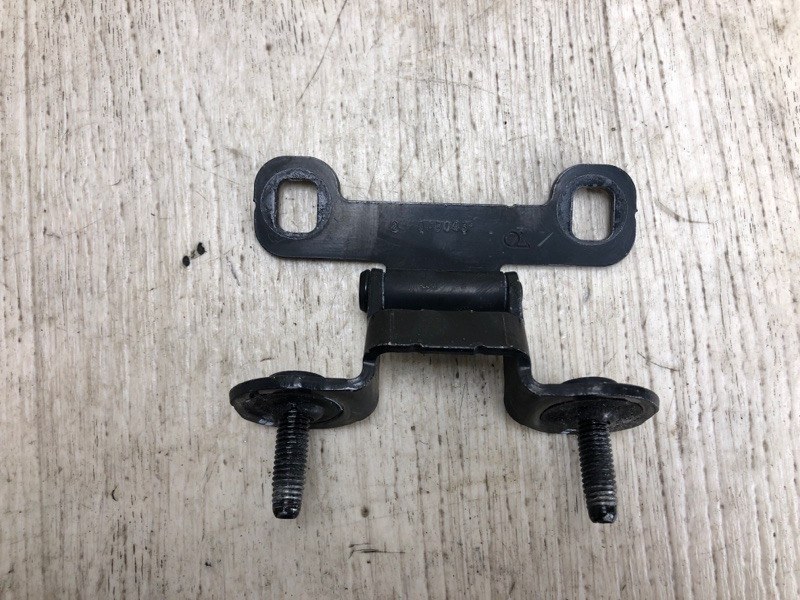 Петля крышки багажника JOURNEY 08-20 2013 JC 3.6 ERB