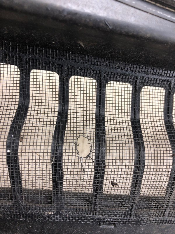 Пластик под лобовое стекло / Жабо FUSION 14- 2014 CD4 C25HDEX