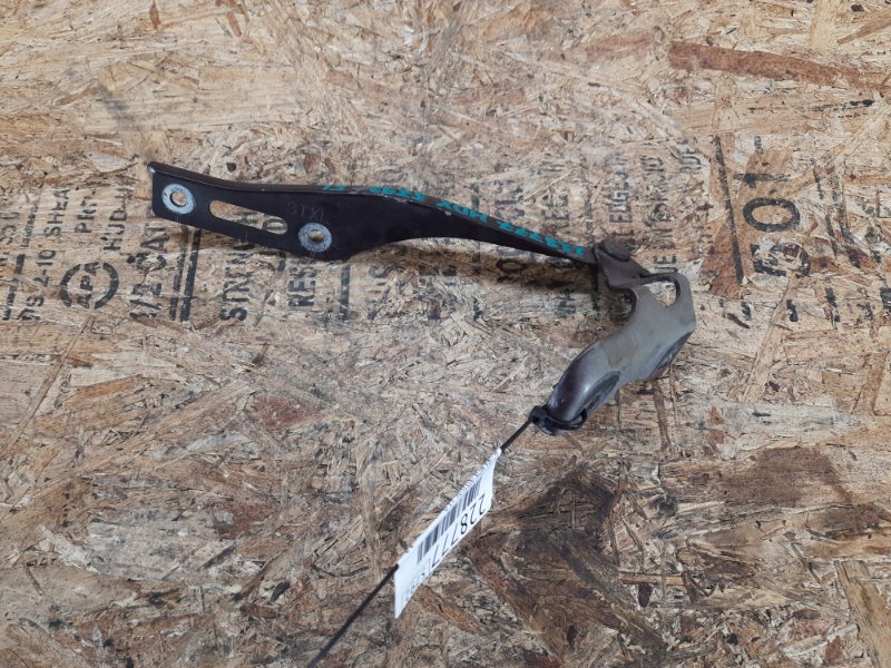 Запчасть петля капота левая ACURA MDX (YD2) 06-13 2009 Внедорожник 3.7 J37A1 60170-STX-A00ZZ Б/У Петля капота левая ACURA MDX (YD2) 06-13 2009 Внедорожник 3.7 J37A1 60170-STX-A00ZZ Б/У