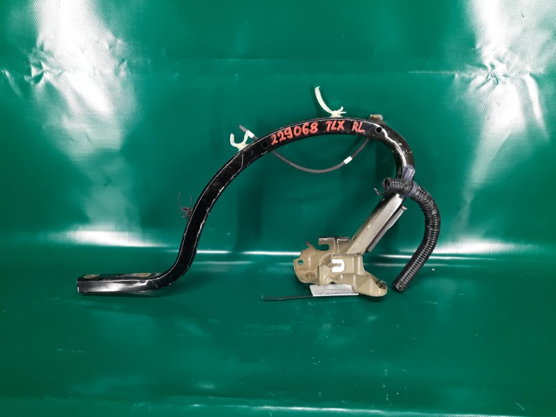 Петля крышки багажника левая TLX 14-17 2015 Седан 2.4