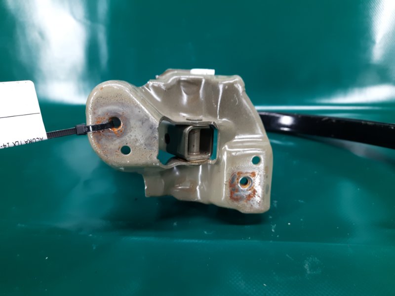 Петля крышки багажника правая TLX 14-17 2015 Седан 2.4