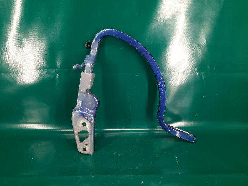 Петля крышки багажника правая PASSAT B7 11-15 2017 A32 1.8 CPRA