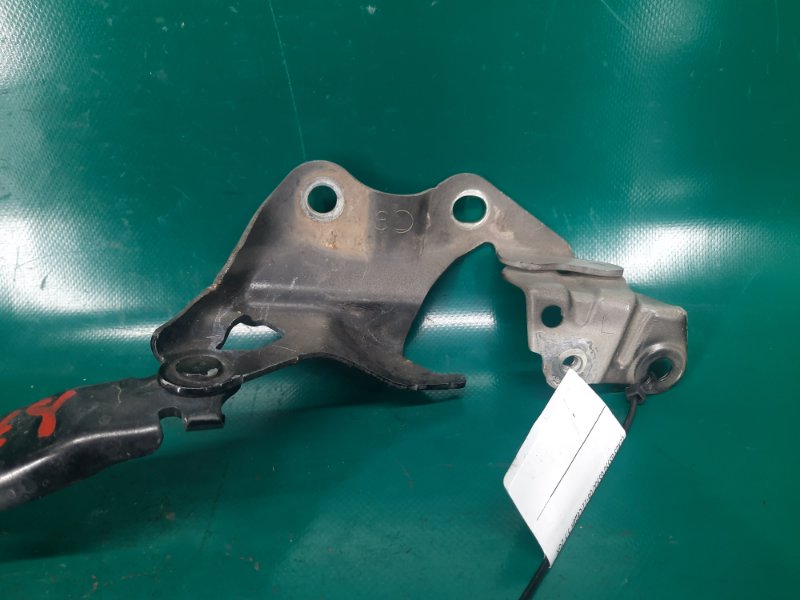 Петля капота левая LEXUS GS350 GS300 05-11 Седан 3.5 2GR-FSE Петля капота левая LEXUS GS350 GS300 05-11 Седан 3.5 2GR-FSE