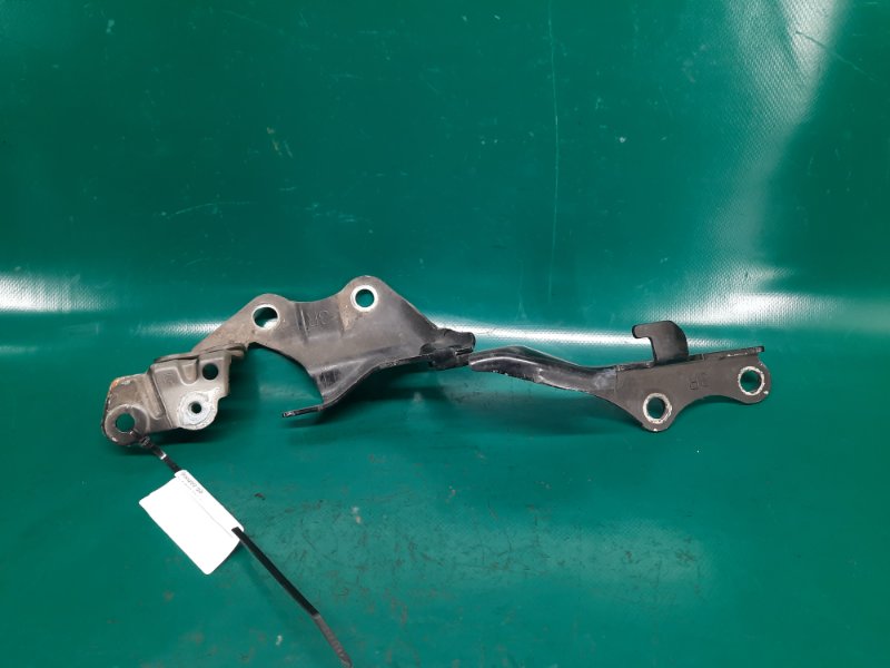 Петля капота правая GS350 GS300 05-11 2008 Седан 3.5 2GR-FSE