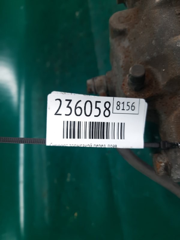 Суппорт тормозной передний правый MURANO Z51 07-14 2009 Внедорожник 3.5 VQ35DE Суппорт тормозной передний правый MURANO Z51 07-14 2009 Внедорожник 3.5 VQ35DE