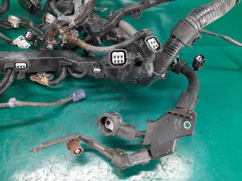 Проводка подкапотная RDX 12-19 2013 Внедорожник 3.5 J35Z2