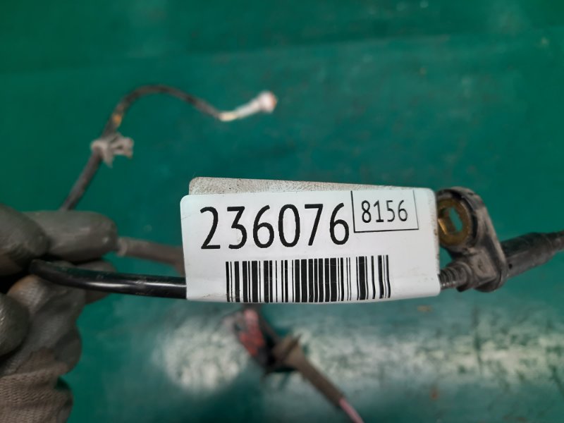 Датчик ABS задний правый MURANO Z51 07-14 2009 Внедорожник 3.5 VQ35DE Датчик ABS задний правый MURANO Z51 07-14 2009 Внедорожник 3.5 VQ35DE