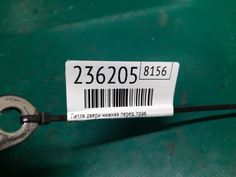 Петля двери нижняя передняя правая MURANO Z51 07-14 2009 Внедорожник 3.5 VQ35DE Петля двери нижняя передняя правая MURANO Z51 07-14 2009 Внедорожник 3.5 VQ35DE