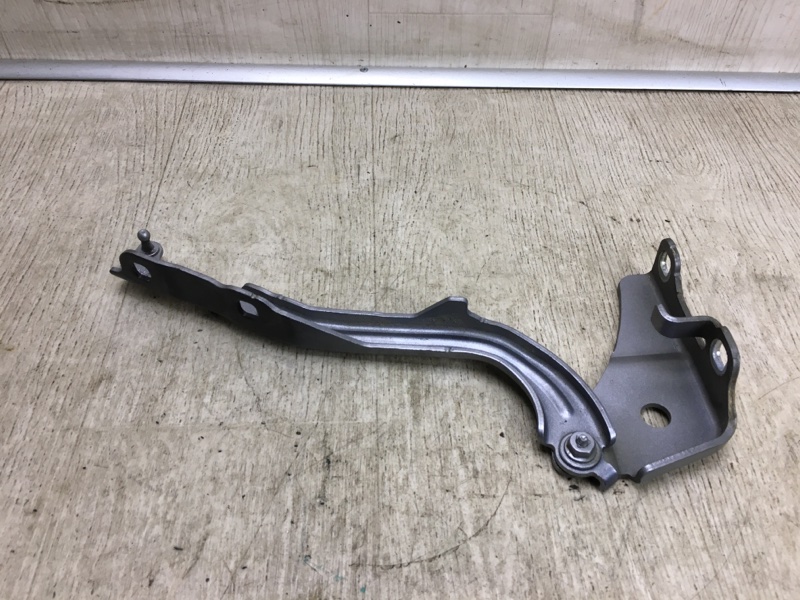 Петля капота левая 200 14-16 2016 UF 2.4 ED6 Петля капота левая 200 14-16 2016 UF 2.4 ED6