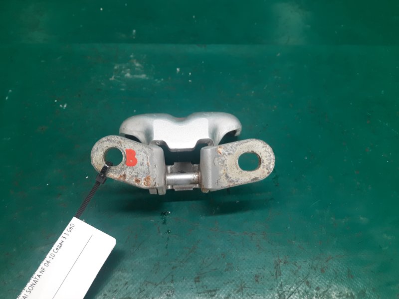 Петля двери верхняя задняя левая SONATA NF 04-10 2008 Седан 3.3 G6DB