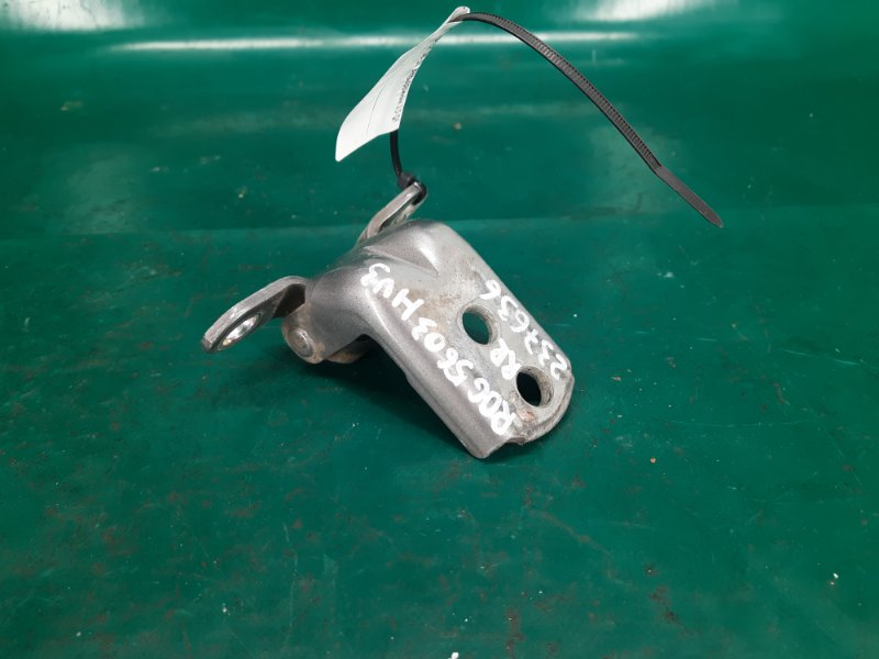 Петля двери нижняя задняя правая NISSAN ROGUE 08-15 2008 Внедорожник 2.5 QR25DE 82420-4P00A Б/У