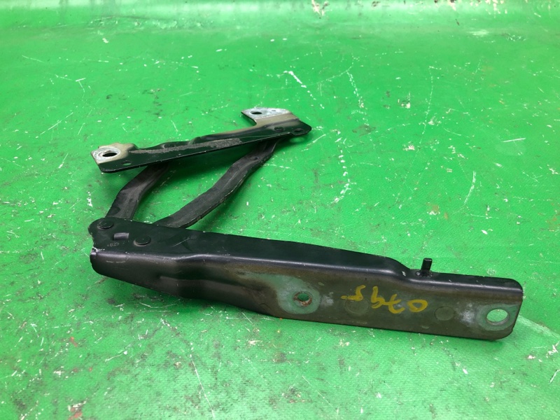 Петля капота левая PATRIOT 10-17 2014 MK74 2.4 ED3 Петля капота левая PATRIOT 10-17 2014 MK74 2.4 ED3