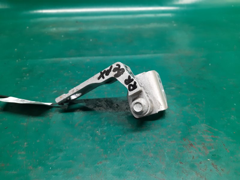 Петля двери верхняя задняя правая FOCUS 10-18 2014 Седан 2.0 XQDA