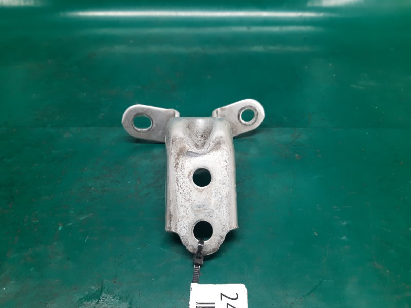 Петля двери нижняя задняя правая ELANTRA HD 06-11 2008 Седан 2.0 G4GC