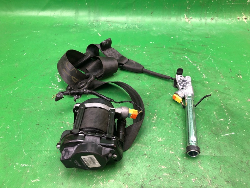 Запчасть ремень безопасности правый FORD FOCUS 10-18 2015 CB8 2.0 XQDA DM5Z-54611B08-DB Б/У Ремень безопасности правый FORD FOCUS 10-18 2015 CB8 2.0 XQDA DM5Z-54611B08-DB Б/У