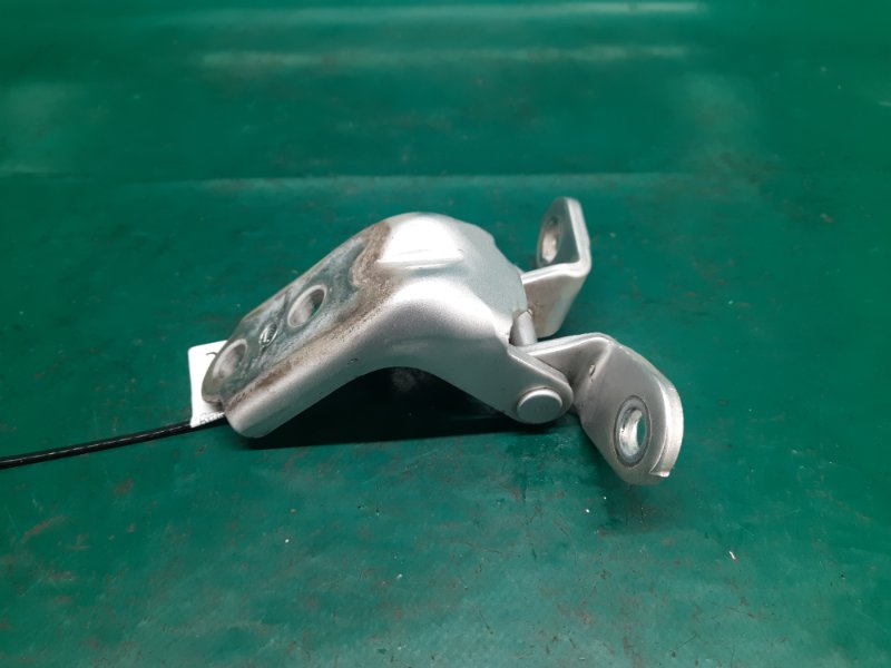 Петля двери нижняя передняя правая ELANTRA HD 06-11 2008 Седан 2.0 G4GC