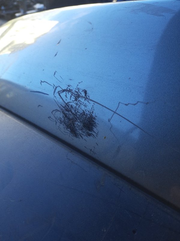 Бампер задний FX S50 03-08 Внедорожник