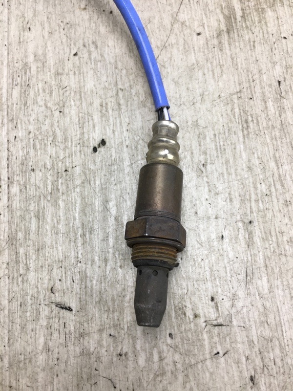 Лямбда зонд ROGUE 08-15 2.5