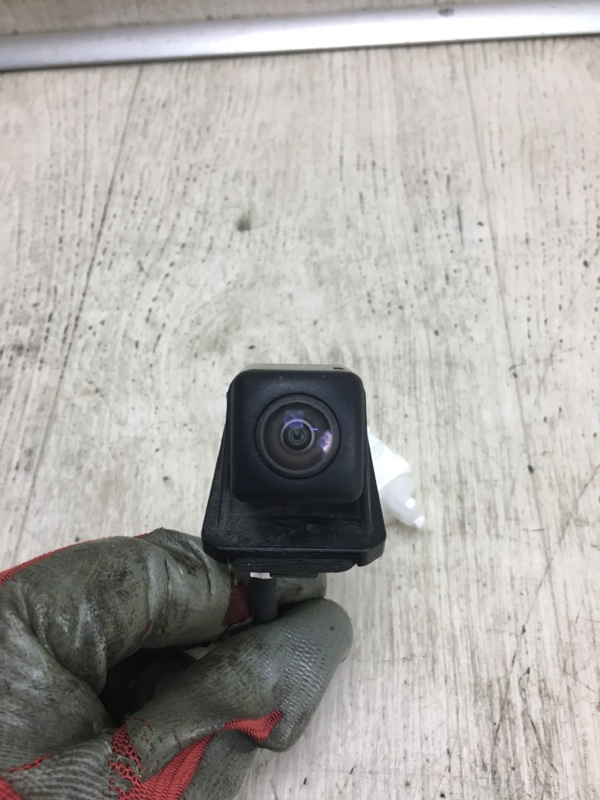 Камера заднего вида RDX 12-19