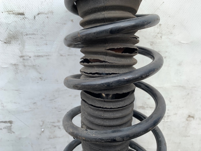 Амортизатор задний правый SOLARA 03-09 COUPE 2.4 2AZFE Амортизатор задний правый SOLARA 03-09 COUPE 2.4 2AZFE