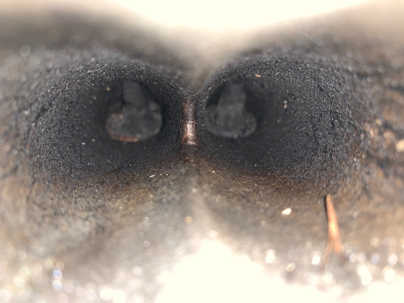 Двигатель на запчасти ( под ремонт ) JUKE 10-19 2012 Хетчбек 1.6 MR16DDT