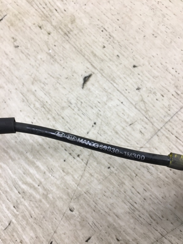 Датчик ABS передний правый FORTE/CERATO TD 08-13 2009 TD 2.0 G4KD Датчик ABS передний правый FORTE/CERATO TD 08-13 2009 TD 2.0 G4KD