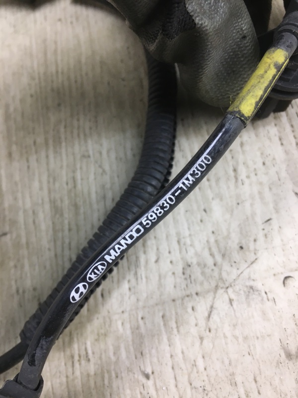 Датчик ABS передний правый KIA FORTE/CERATO TD 08-13 TD 2.0 G4KD Датчик ABS передний правый KIA FORTE/CERATO TD 08-13 TD 2.0 G4KD