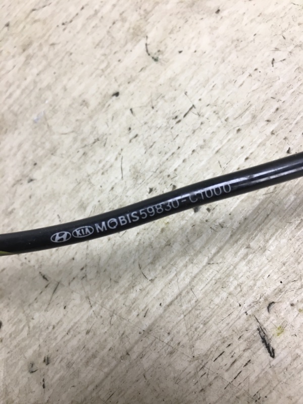 Датчик ABS передний правый SONATA LF 2014- 2015 LF 2.4 G4KJ Датчик ABS передний правый SONATA LF 2014- 2015 LF 2.4 G4KJ