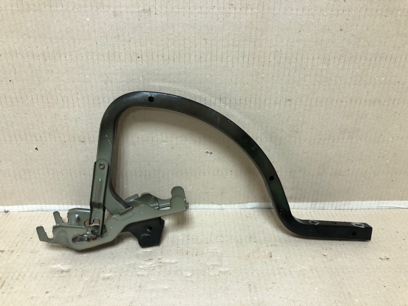 Петля крышки багажника правая ES350 06-12 2008 XV40 3.5 2GR-FE