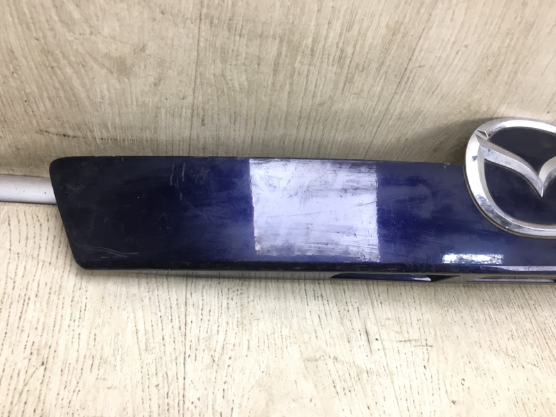 Панель подсветки номера CX-9 06-16 Внедорожник