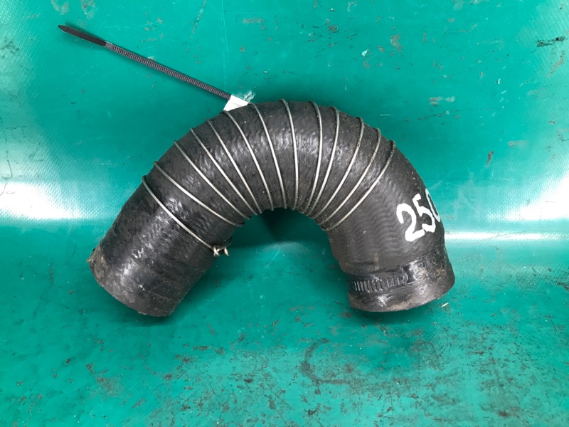 Запчасть патрубок интеркулера FORD EDGE 06-14 2012 Внедорожник 2.0 BB5Z-6C646-C Б/У Патрубок интеркулера FORD EDGE 06-14 2012 Внедорожник 2.0 BB5Z-6C646-C Б/У