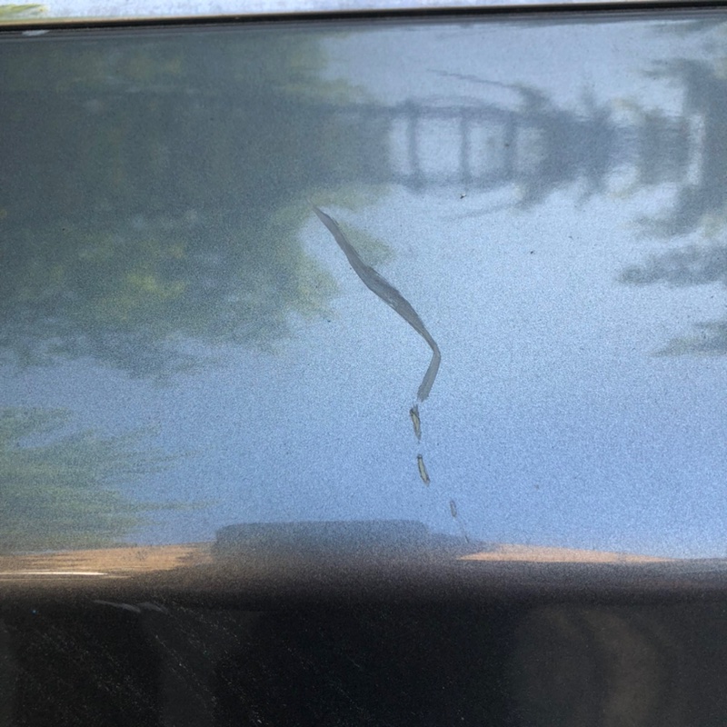 Дверь задняя левая QX60/JX35 12-20 2016 L50 3.5 VQ35DE