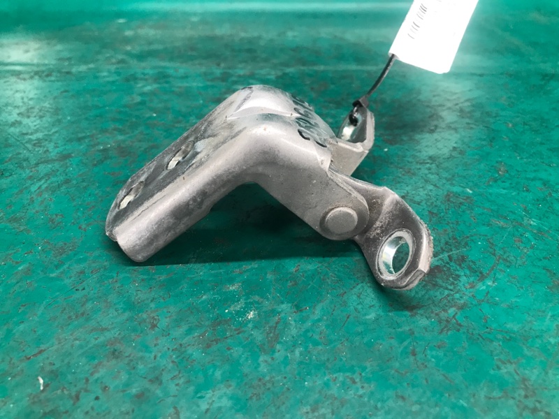 Петля двери нижняя задняя левая ROGUE 08-15 2013 Внедорожник 2.5 QR25DE