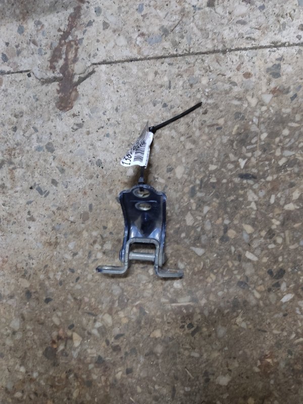 Петля двери нижняя задняя правая TRIBECA B10 07-13 2008 Внедорожник 3.6