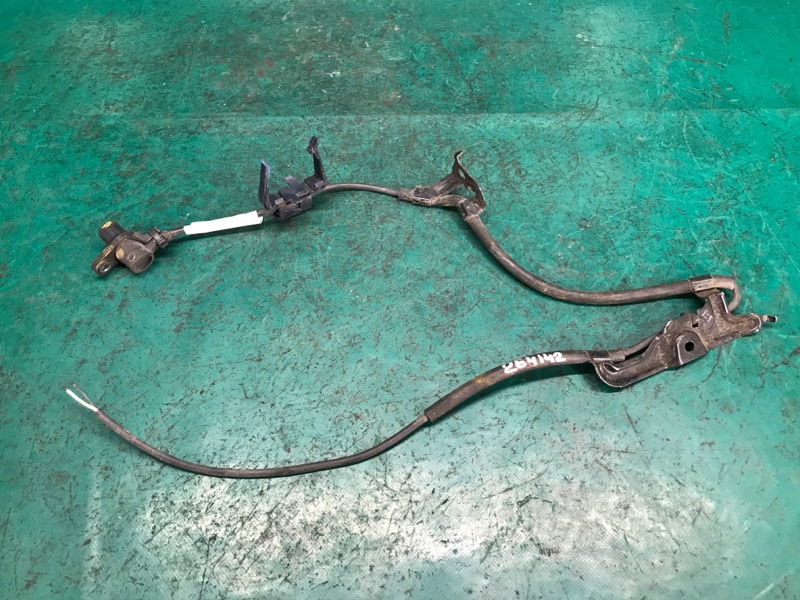 Запчасть датчик abs передний правый TOYOTA SOLARA 03-09 2006 Кабриолет 3.3 3MZ-FE 89542-06010 Б/У Датчик ABS передний правый TOYOTA SOLARA 03-09 2006 Кабриолет 3.3 3MZ-FE 89542-06010 Б/У