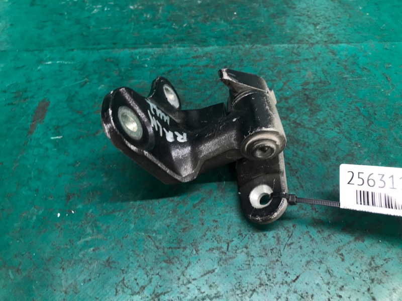 Петля двери нижняя задняя левая QX30 16-20 2018 Внедорожник 2.0 20PET