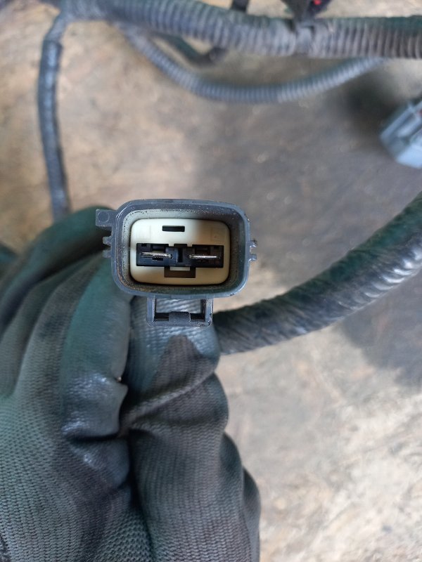 Проводка подкапотная FUSION 14- 2013 Седан C20EDEF