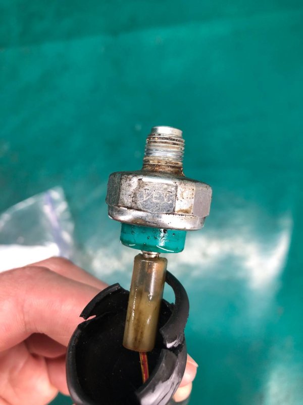 Датчик давления масла ДВС CIVIC ES 00-05 2001 Седан 1.6 D16W7