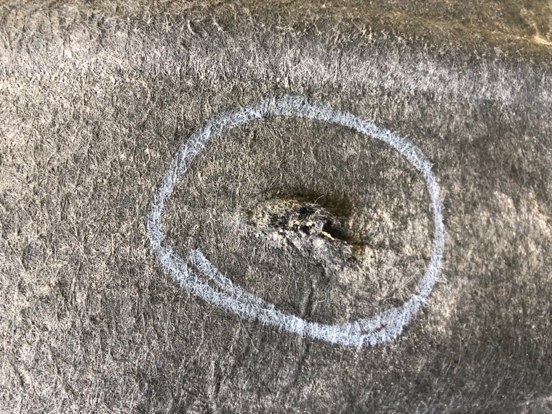 Подкрылок задний левый PASSAT CC 08-12