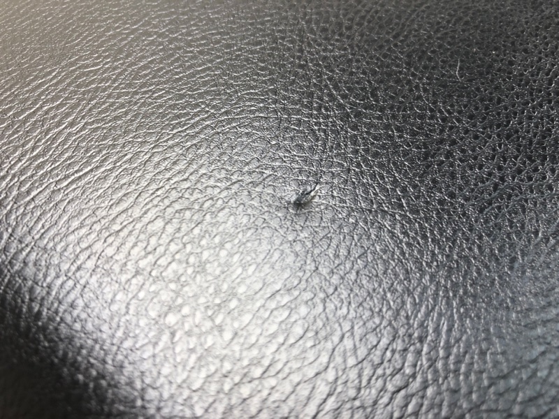 Консоль центральная PATHFINDER R52 12-21 2018 R52 3.5 VQ35DD