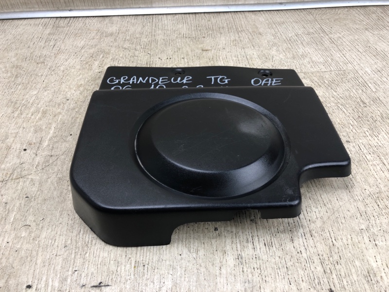 Пластик подкапотного отсека передний левый GRANDEUR 05-11 Пластик подкапотного отсека передний левый GRANDEUR 05-11