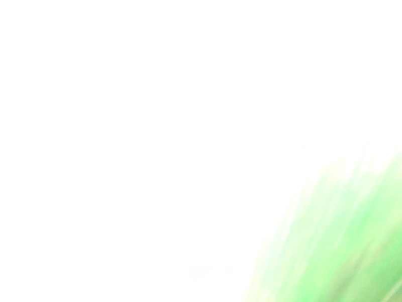 Стекло двери заднее правое FIESTA 08-17 2012 1.6 C16HDEX Стекло двери заднее правое FIESTA 08-17 2012 1.6 C16HDEX