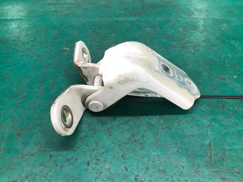 Петля двери нижняя передняя левая OPTIMA TF 11-16 2013 TF 2.4 G4KK