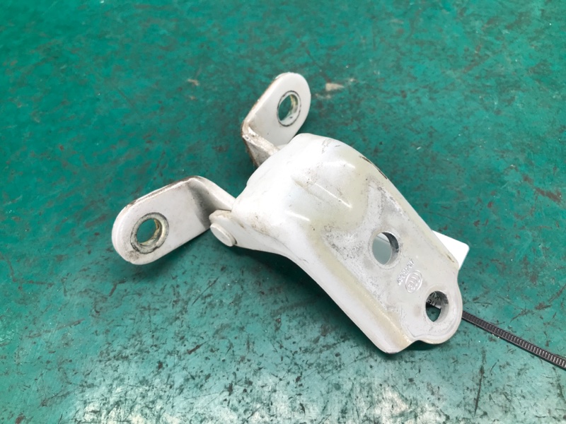 Петля двери нижняя передняя левая OPTIMA TF 11-16 2013 TF 2.4 G4KK