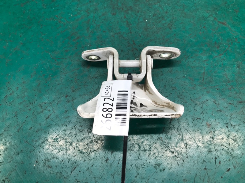 Петля двери верхняя задняя левая OPTIMA TF 11-16 2013 TF 2.4 G4KK
